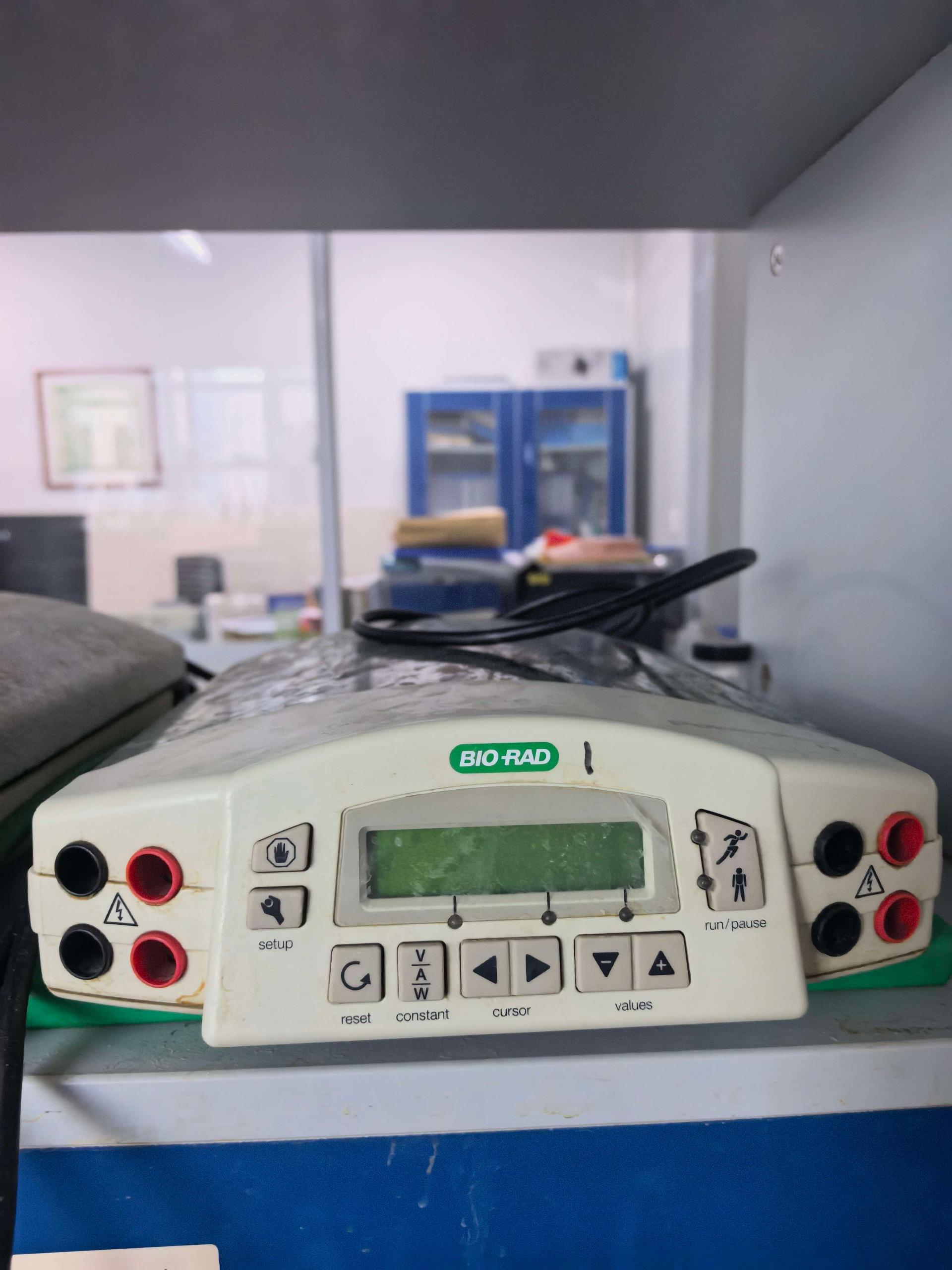 BIO-RAD 电泳仪1