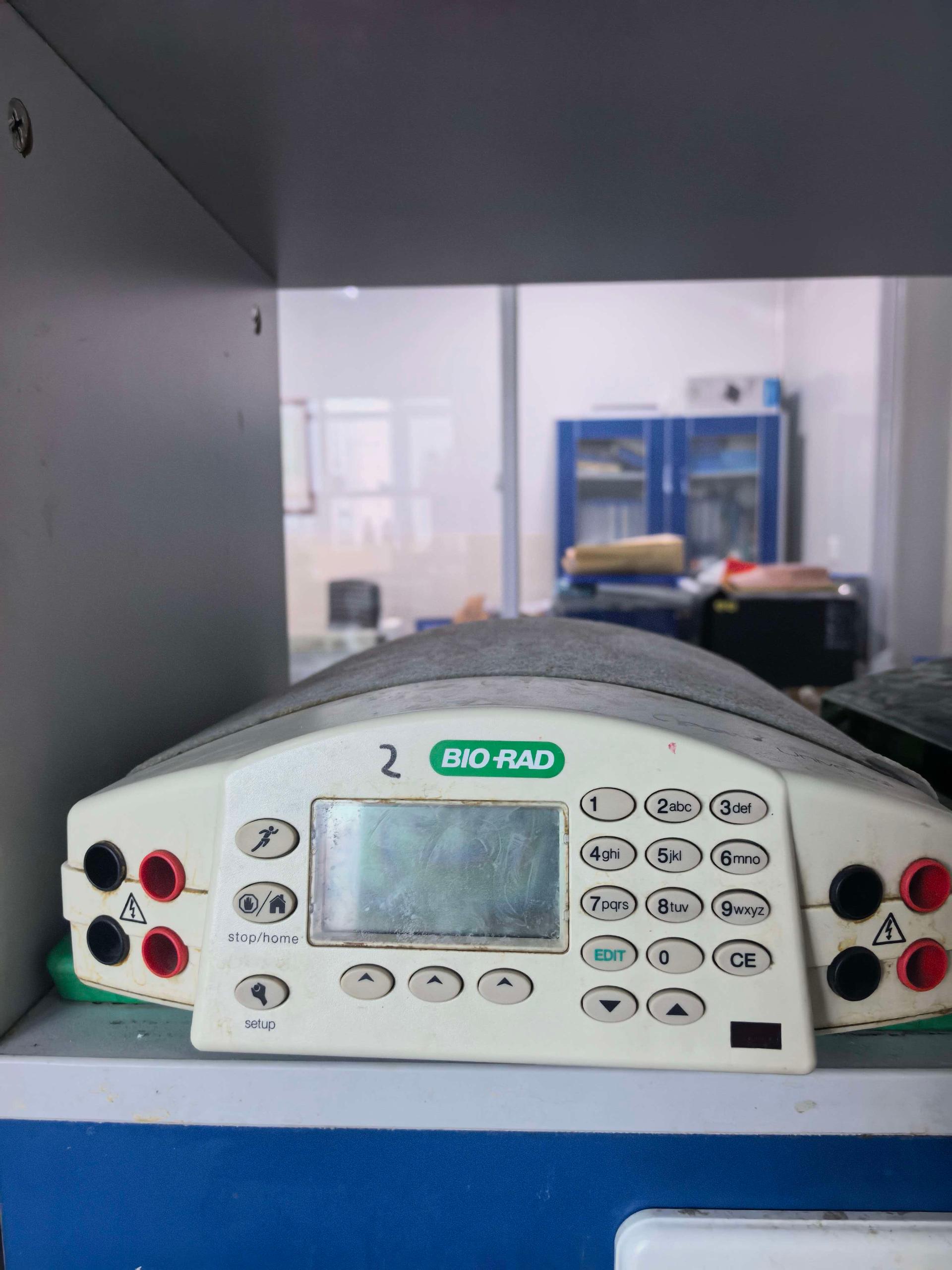BIO-RAD 电泳仪2