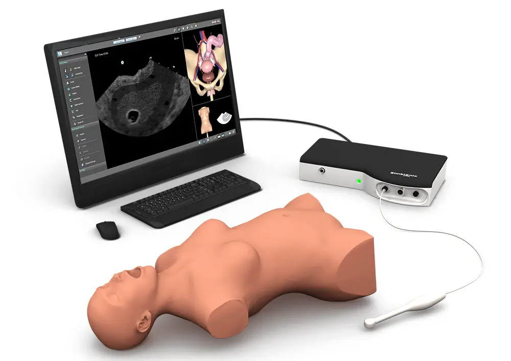 女性超声检查模拟器